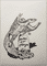 dinosaur-archaeopteryx-grave-2014-poor-quality-photo